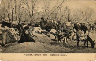 Bukhara, Camel bazaar, market, Russian and Uzbek folklore (EK)