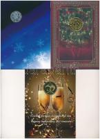 1992-2013. "Magyar Pénzverő" ünnepi emlékérem eredeti karton díszlapon (13db, több dátum n...