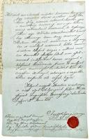 1838-1834 Szalontai Nagy János fajszi nemes folyamodványai Pest vármegye közgyűléséhez nemessége kih...