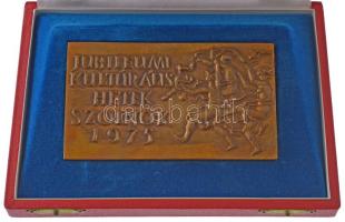 Kiss Kovács Gyula (1922-1984) Jubileumi Kulturális Hetek Szolnok 1975 / 900 éves Szolnok kétoldalas, öntött bronz plakett, eredeti dísztokban (72x124mm) T:AU