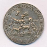 ~1920. Magyar Ebtenyésztők Országos Egyesülete ezüstözött bronz díjérem (36mm) T:XF ph. ezüstözés lekopott