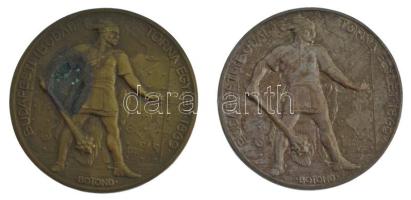 Berán Lajos (1882-1943) 1930. Budapesti (Budai) Torna Egylet 1869 - Botond kétoldalas, ezüstözött bronz és bronz sport emlékérem (40mm) T:XF,VF patina, korr.