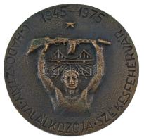 1975. 6. Hadosztály találkozója Székesfehérvár 1945-1975 egyoldalas, öntött bronz emlékérem (68mm) T:AU