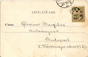 1904 Siófok, Halászat a Balatonon II. rész. Előkészület a halászatra. Ellinger Ede cs. és kir. udvar...