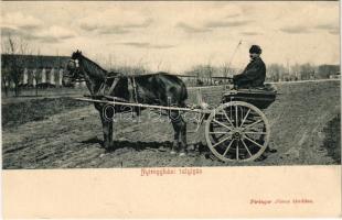 Nyíregyházi talyigás, magyar folklór. Piringer János kiadása