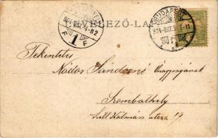 1904 Budapest, családi fotó. photo (fa)