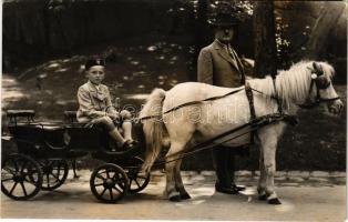 Budapest XIV. Állatkert, gyerekhintó pónival, levente, photo