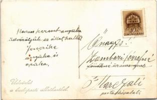 Budapest XIV. Állatkert, gyerekhintó pónival, levente, photo