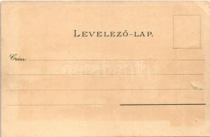 Budapest I. Kilátás a Gellérthegyről, Lánchíd. Kuenstlerpostkarte No. 2305. von Ottmar Zieher. litho...