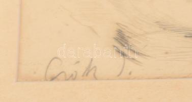 Csók István (1865-1961) - Prihoda István (1891-1956): Züzü olvas. Színezett rézkarc, papír, jelzett ...