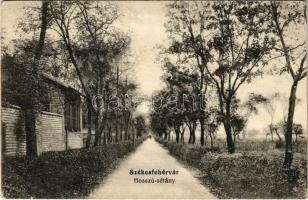 1915 Székesfehérvár, Hosszú sétány (EK)