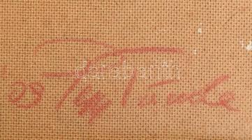 Papp Tünde (1978-): Mediterrán naplemente. Olaj, farost, jelzett a hátoldalán, fakeretben, 26×86 cm