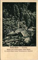 1928 Óradna, Alt-Rodna, Radna veche, Rodna; Új tároló állami bánya Ördög szorosi részlettel / mine (fl)