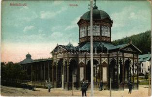 Bártfafürdő, Bardejovské Kúpele, Bardiov, Bardejov; Főforrás. Özv. Ábrahámovitsné nagytőzsde kiadása / main mineral water spring (fl)