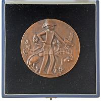 Ligeti Erika (1934-2004) 1979. "100 éve született Móra Ferenc" kétoldalas, öntött bronz pl...