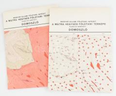 1975 Domoszló földtani és észlelési térképe, 1:10 000, 2 db