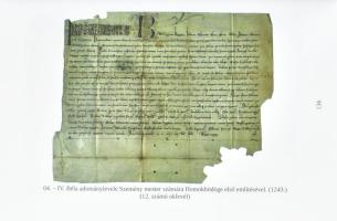 Petrik Iván: A pápai járás településeinek első említései. Pápa, 2016. Városi könyvtár. Kiadói karton...