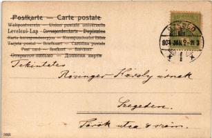 1904 Lady art postcard, romantic couple with donkeys. litho