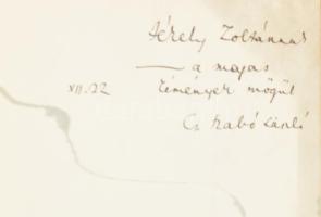 Cs. Szabó László: Egy gondolat bánt engemet... Fáy Dezső 12 kőrajzával. DEDIKÁLT! H.n., Magyar Bibli...