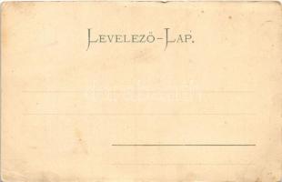 Tátra, Magas-Tátra, Vysoké Tatry; Tarpatak-füred a Lomnici-csúccsal / Hotel Kohlbach m. Lomnitzerspi...