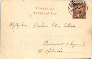 1900 Zagreb, Zágráb; Akademicki trg / Academy Square (EK)