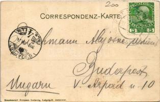 1908 Sankt Wolfgang, Blick vom See aus (EK)