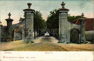 1915 Zary, Sorau; Blaues Tor / gate (EB)