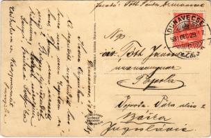 1931 Dunavecse, Járási székház