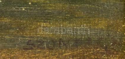 Szontágh Tibor (1873-1930): Lány a pataknál. Olaj, vászon, jelzett (jobbra lent). Dekoratív, üvegeze...