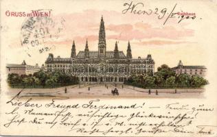 Vienna litho
