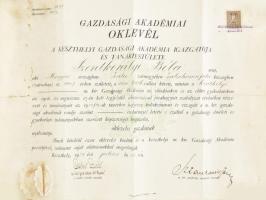 1929 Keszthelyi Gazdasági Akadémia oklevele, Sztankovics János (1869-1938) iagzagató és Csíki László (1897-1988) autográf aláírásával, papírfelzettel, foltos, törés- és hajtásnyomokkal, feltekerve, tokban. 35x47 cm