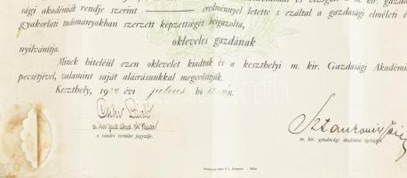 1929 Keszthelyi Gazdasági Akadémia oklevele, Sztankovics János (1869-1938) iagzagató és Csíki László...