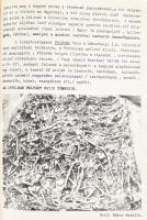 1976 A Mohácsi Történelmi Emlékhely 1526-1976. (Az ebben az évben megnyitott emlékhely ismertető füz...