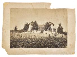 cca 1920-30 Balatongyörök Szentkirályi Villa, vintage fotó kartonon, jelzett (Müller Keszthely), fotó, kissé sérült, foltos, 12x17 cm,