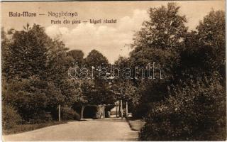 1931 Nagybánya, Baia Mare; Parte din parc / Ligeti részlet. Rosenstein kiadása / park (EK)