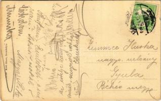 1916 Zsombolya, Hatzfeld, Jimbolia; Jesuleum Intézet, zárda iskola. Kohl János kiadása / boarding sc...