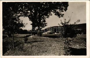 1943 Zágon, Zagon; Mikes Kelemen tölgyfái. Lapikás Béla kiadása / the oak trees of Kelemen Mikes