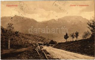 1913 Zajzon, Zizin; Csukás a vízválasztóról / road, mountain (r)