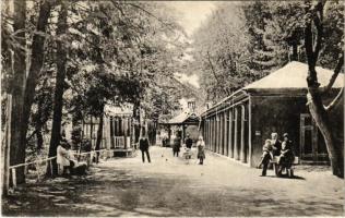 1926 Zajzon, Zizin; Parcul si Izvorul Ferdinand / Zajzonfürdő, Ferdinánd-forrás és park. Henric Lang felvétele / spa, park, spring source (EK)