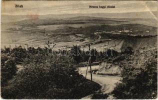 1918 Zilah, Zalau; Meszes hegyi részlet. Seres Samu kiadása / general view, road (EB)