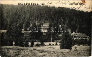 1906 Biharfüred, Stana de Vale, Stina de Vale; látkép. Helyfi László kiadása / general view (lyuk / pinhole)