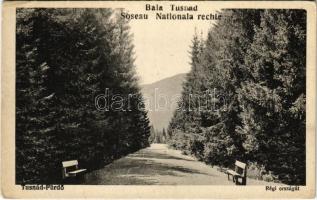 1930 Tusnádfürdő, Baile Tusnad; Régi országút. Turóczi István kiadása / old road (EK)