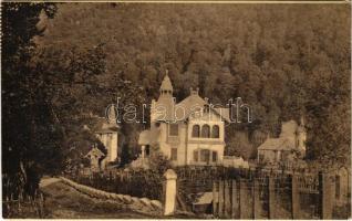 1911 Menyháza, Monyásza, Moneasa; Özv. Andrényi Károlyné villája. Fái Károly kiadása / villa (r)