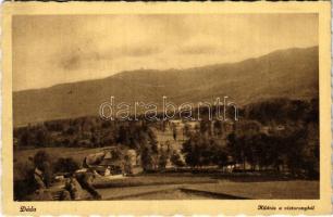 1943 Déda, Deda; kilátás a víztoronyból / view from the water tower (EK)