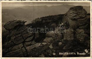 1941 Nagybánya, Baia Mare; Rozsály csúcson, turisták / Varful Ignis / mountain peak, tourists (fa)