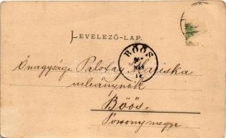 1902 Veszprém, Vármegyeháza, Pósa Endre kiadása (EK)