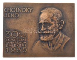 1935. Cholnoky Jenő 30 éves egyetemi tanársága emlékére egyoldalas, öntött bronz plakett (60x79mm) T:AU patina /  Hungary 1935. Jenő Cholnoky one-sided, cast bronze commemorative plaque (60x79mm) C:AU patina