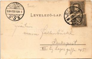 1900 Győr, Újváros, Templom, híd, folyó, zsinagóga, házak (fl)