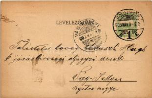 1903 Kolozsvár, Cluj; Sétatéri szökőkút. Kováts P. fiai kiadása / promenade fountain (EK)