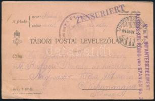 1915 Tábori posta levelezőlap / Field postcard "K.u.k. Infanterieregiment Alfons XIII. König von Spanien" + "TP 111"